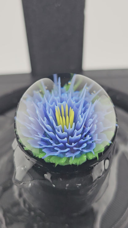 Aqua Orbiter Marble Display